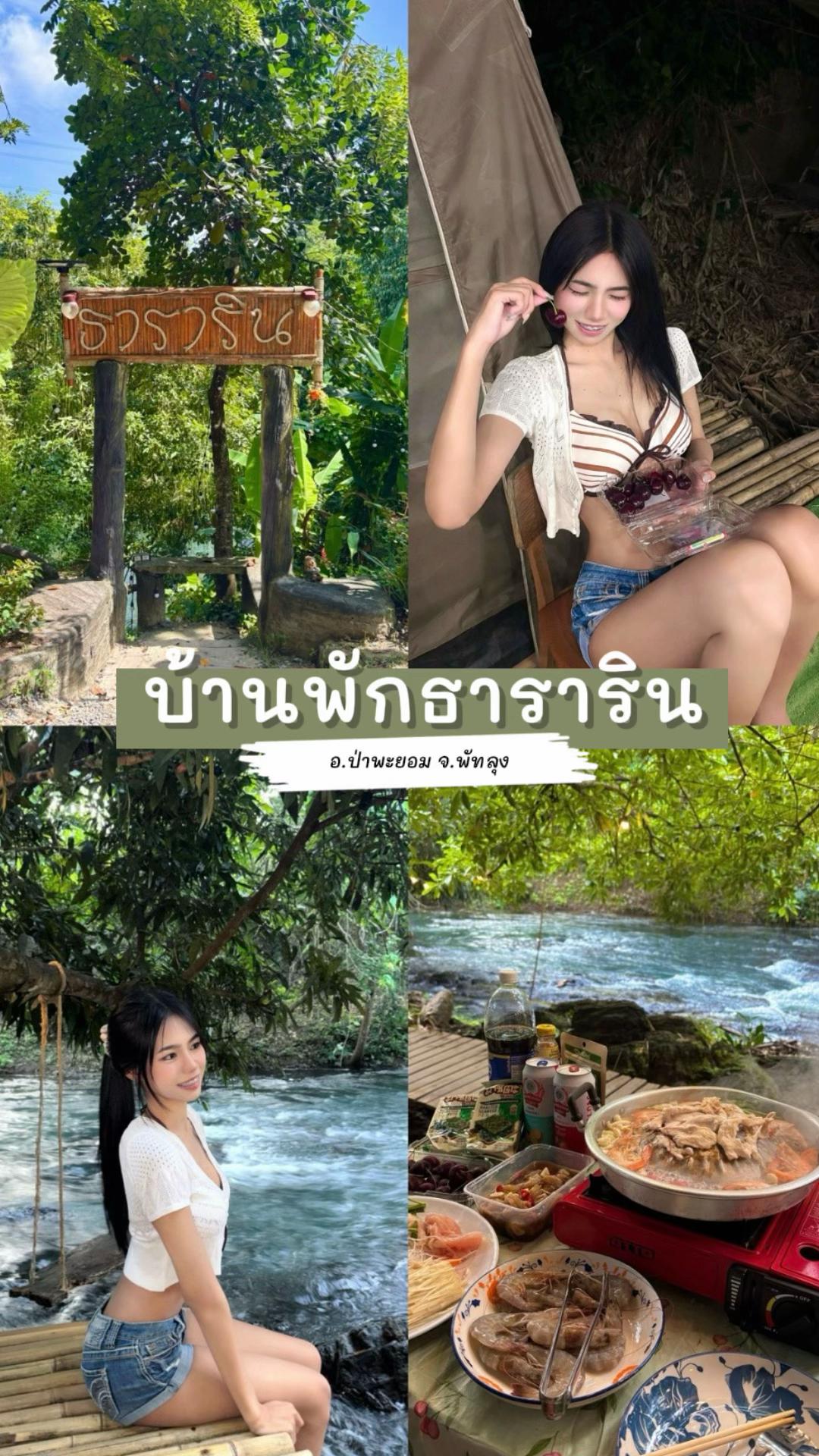 @แมววีน