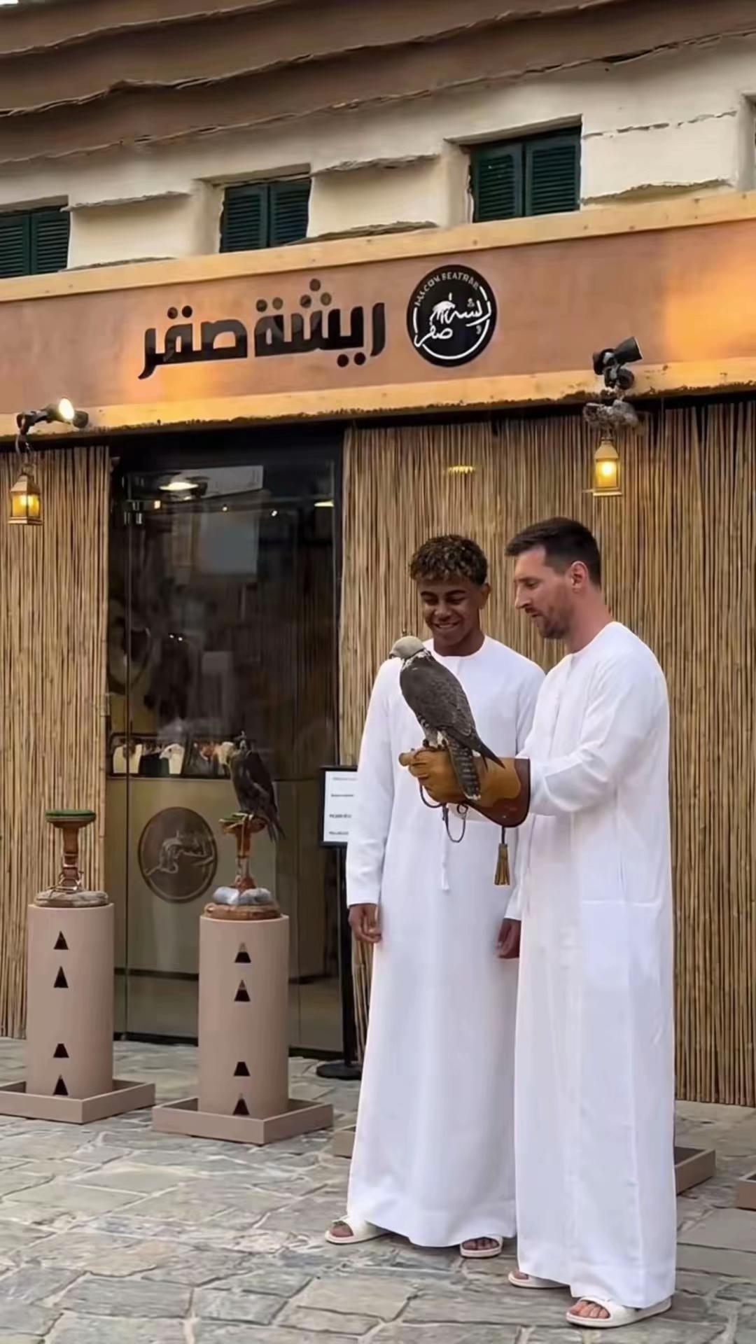 @ريشة صقر