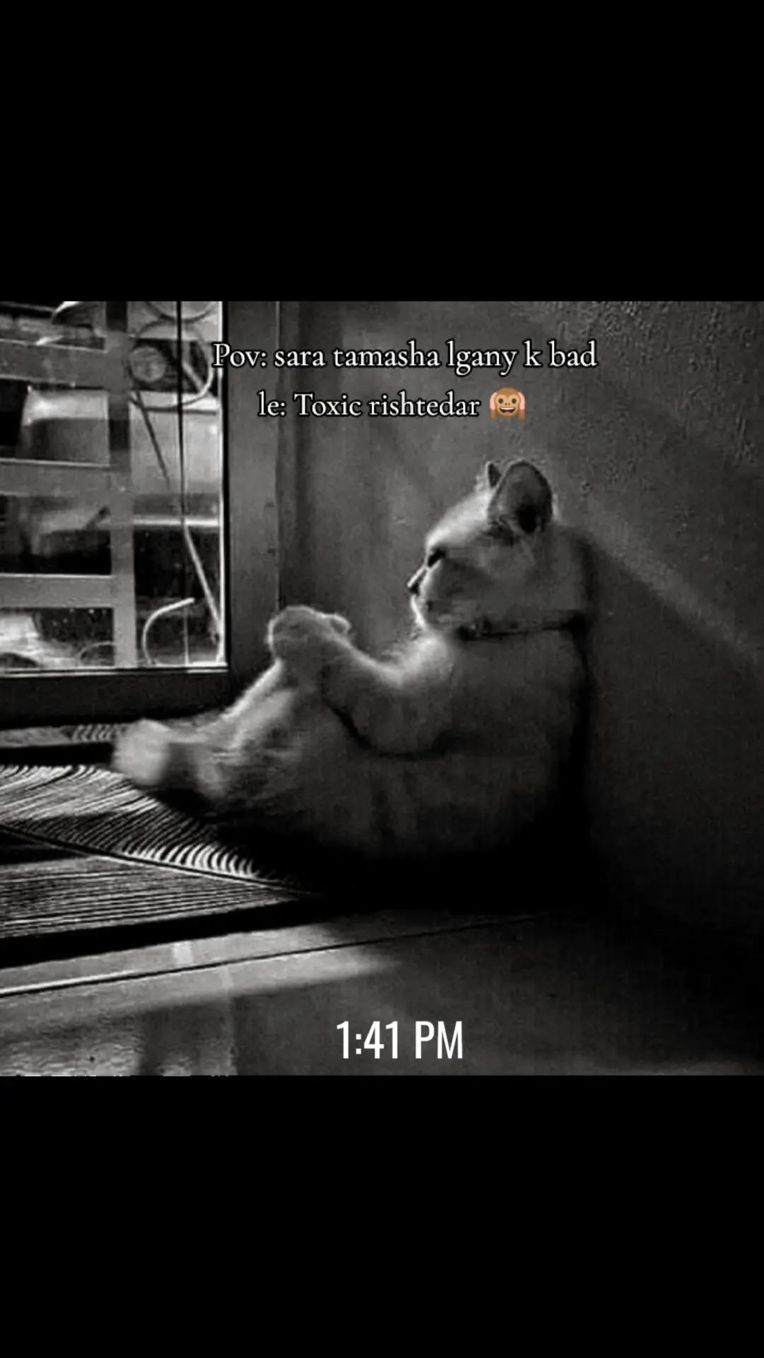 @🥀❤