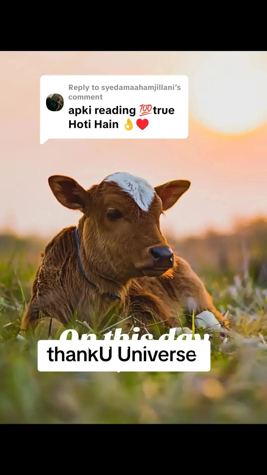 @Cosmic Connection