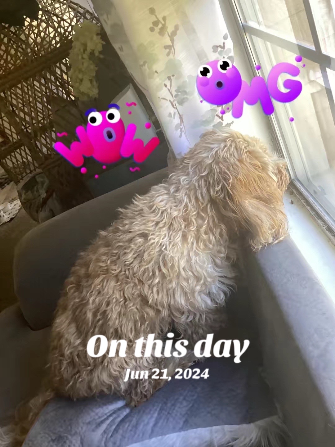 @Pablo & Luigi 🐾