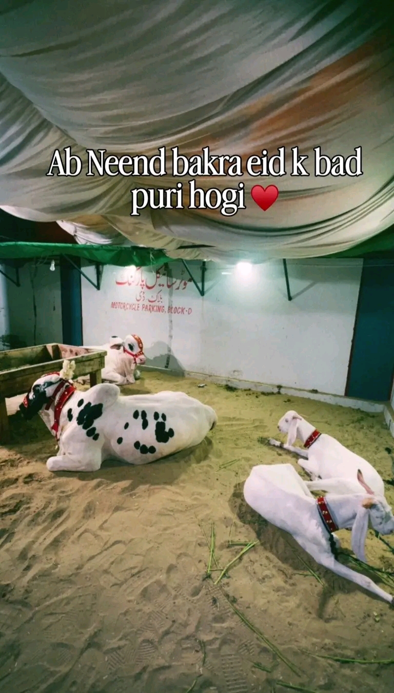 @KhUبAuSمaN❤️