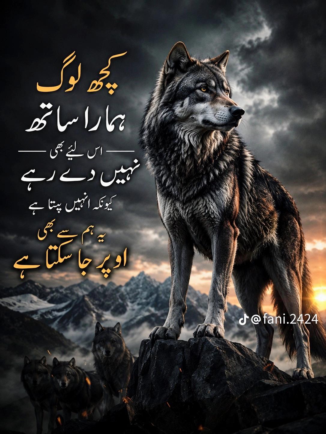 @Tahir HB