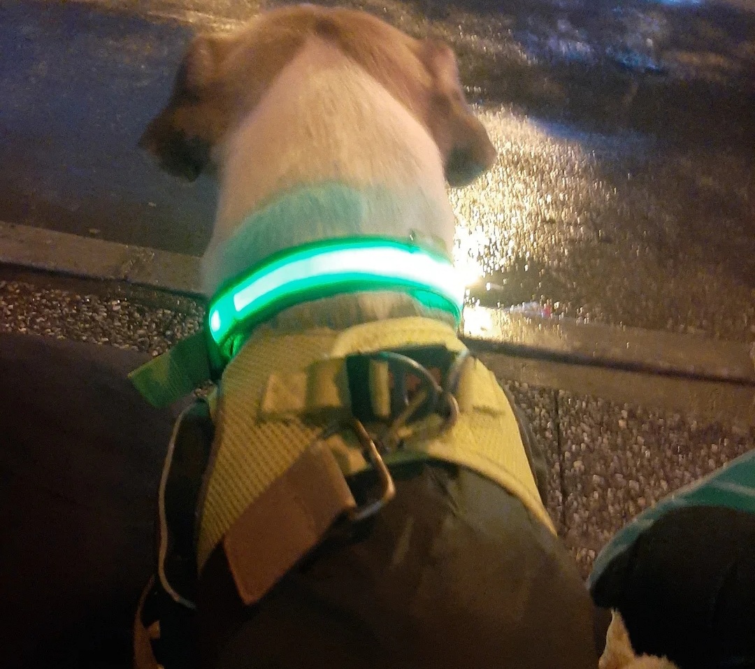 @Ş𝓪𝓷𝓼.𝓸𝓷𝓵𝓲𝓷𝓮🐶