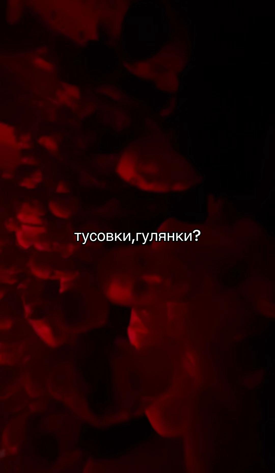 @vadickkefteme