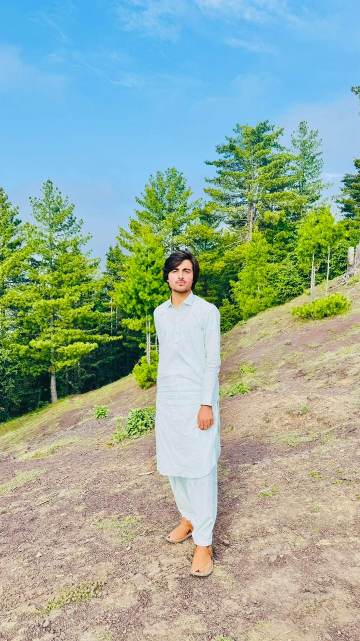 @Hamxa Wazir 🍀🌸