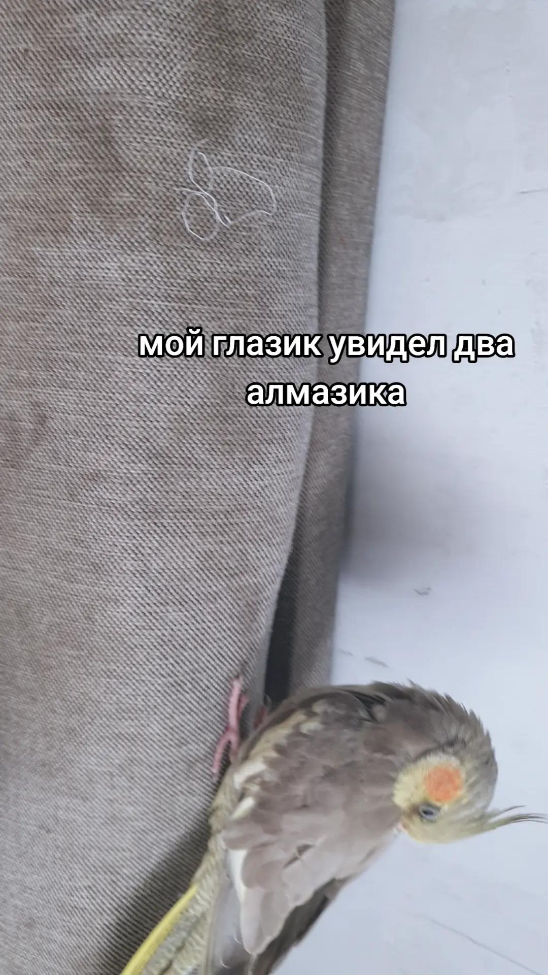 @SoLuckyMan