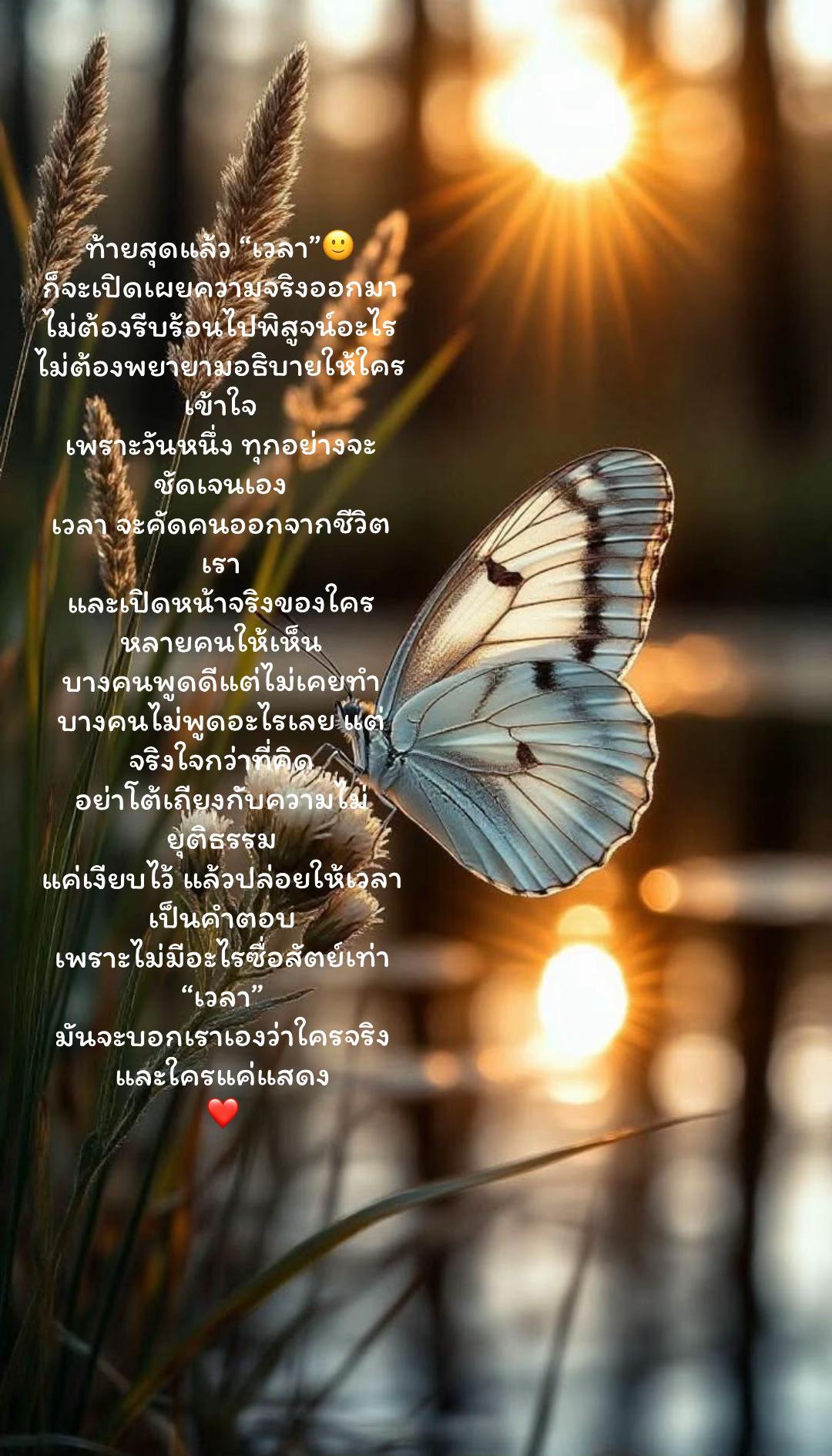 @มิ้นท์ น๊าาเนี่ย🌻🤍