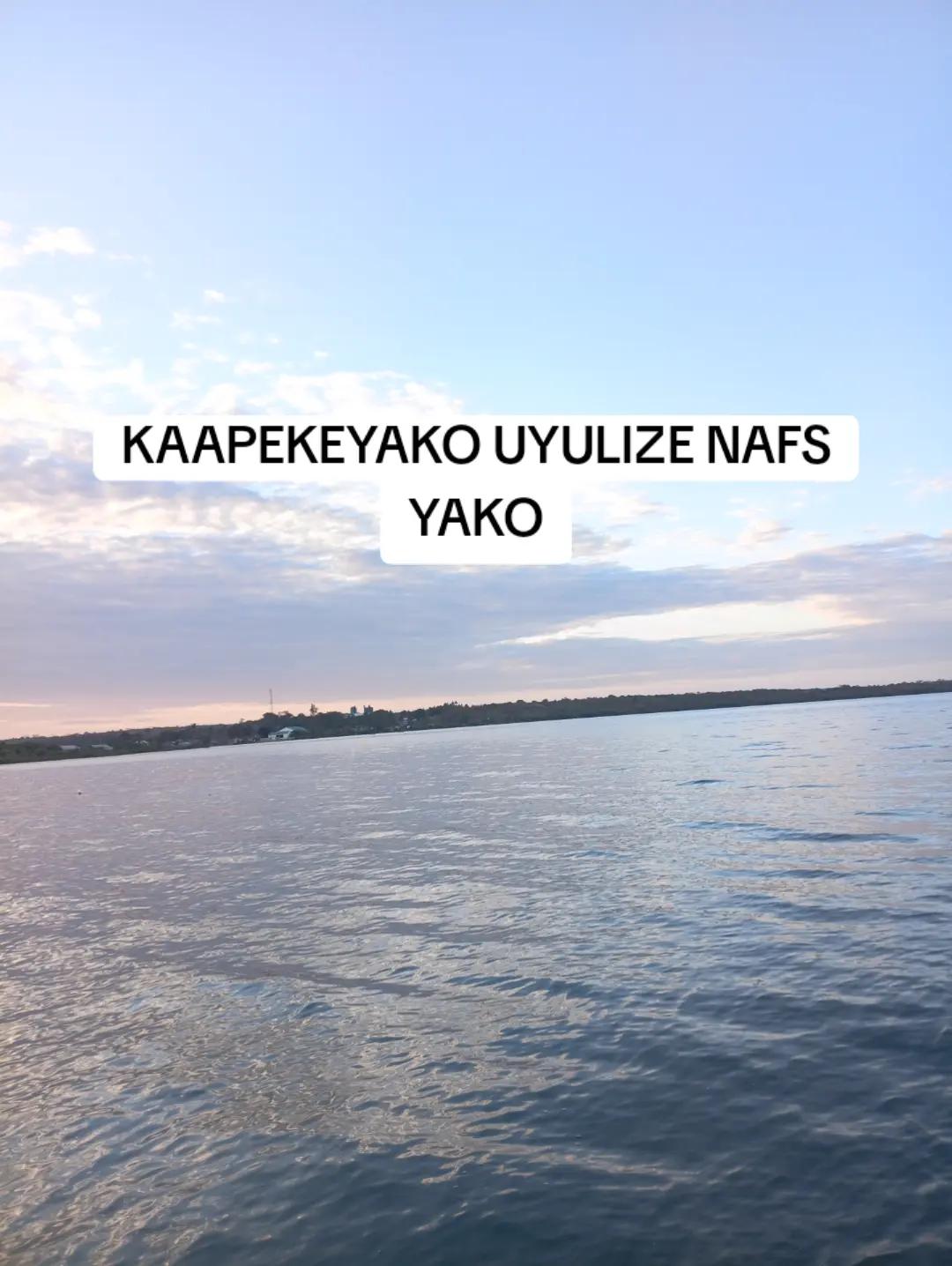 @SINOG jr
