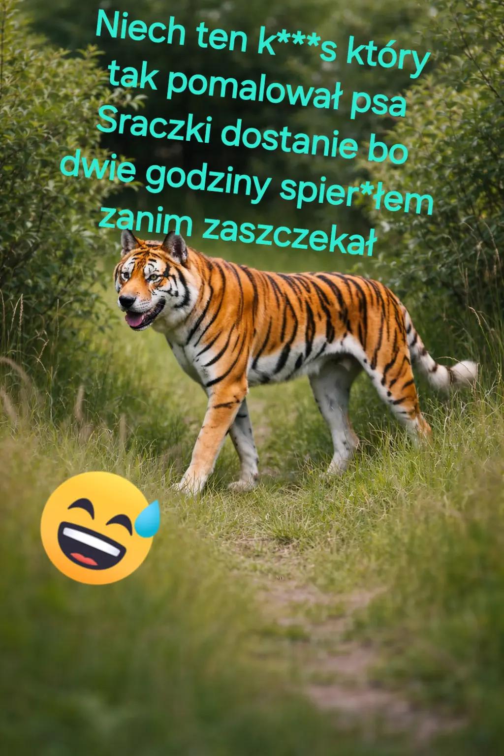 @🚒🔥KAROL KAROLINSKI 🔥
