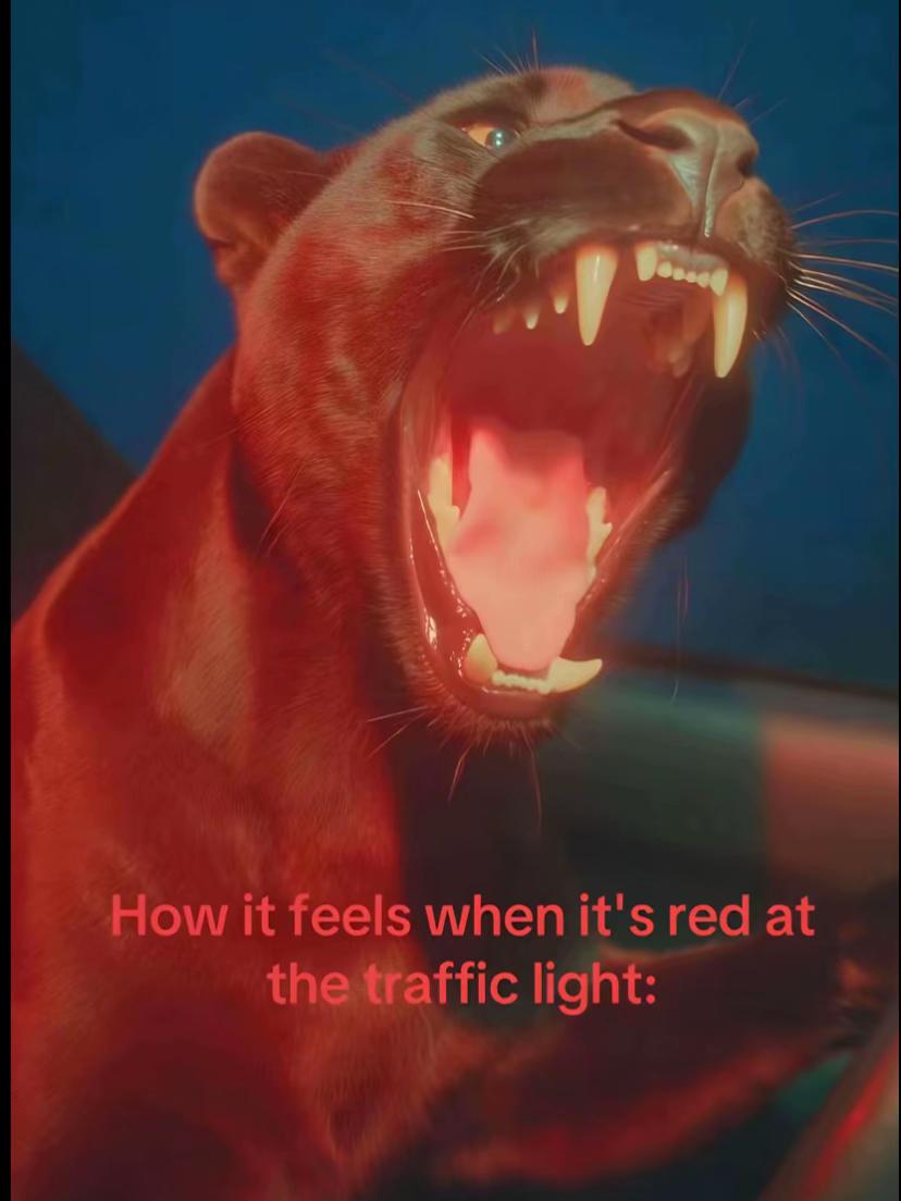 @𝑴𝒆𝒍𝒊𝒔𝒔𝒂