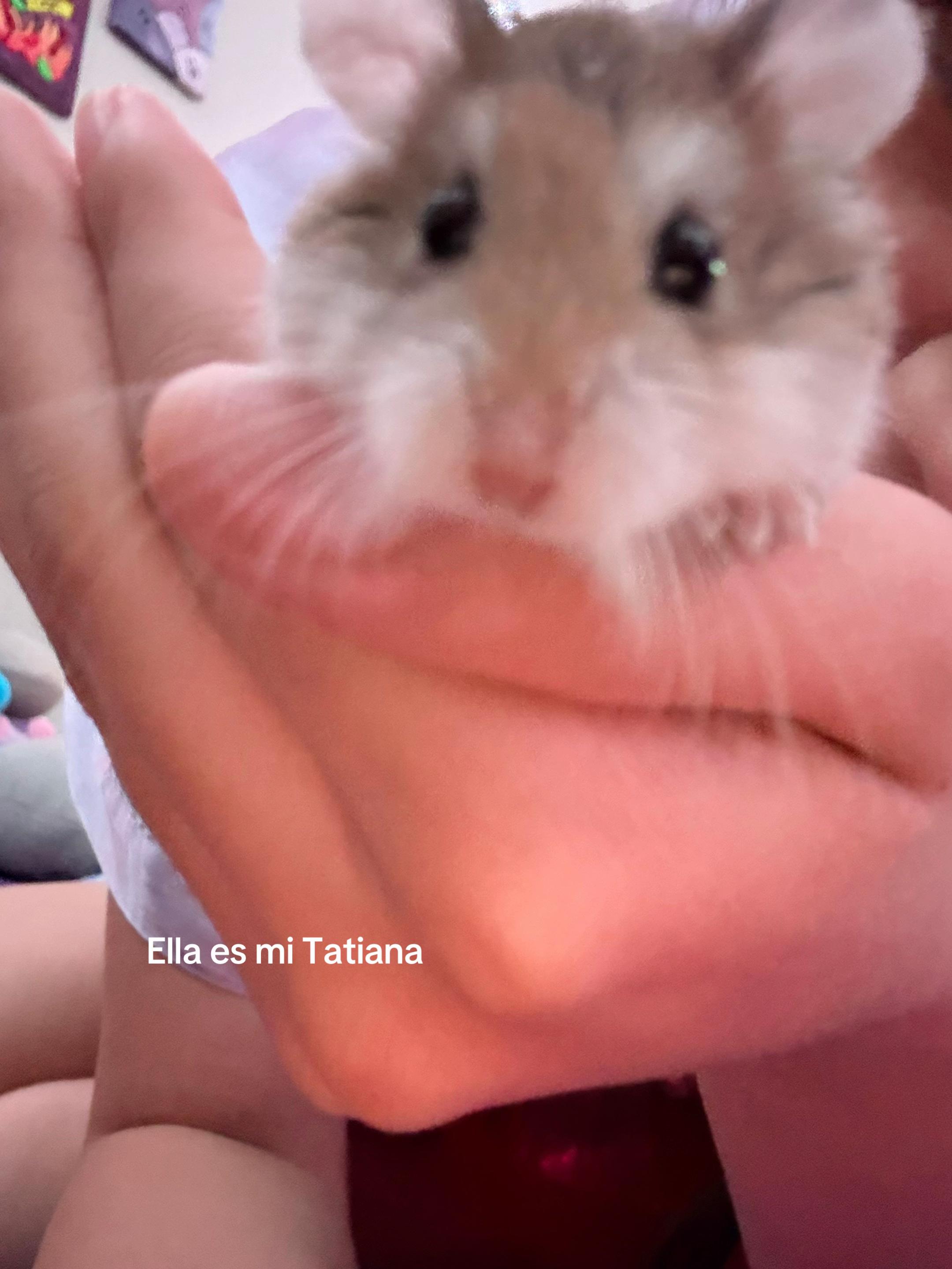 @A
