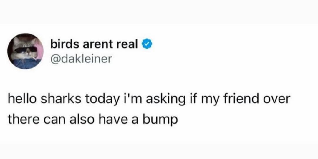 @ConeDawg