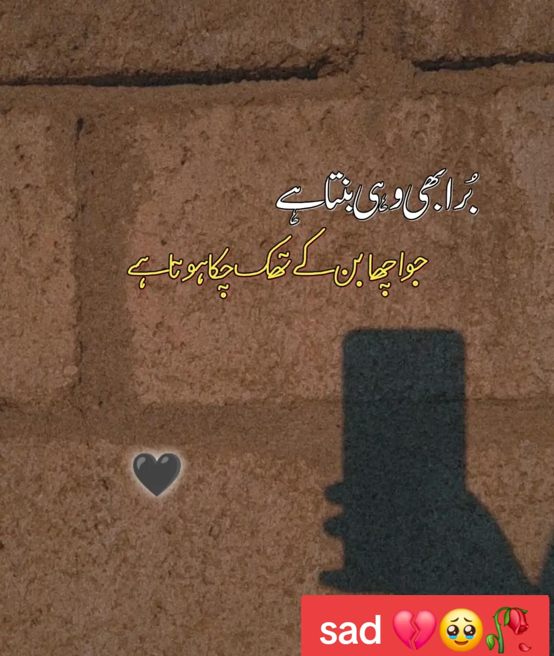 @MaliK UmaR 007 ✅