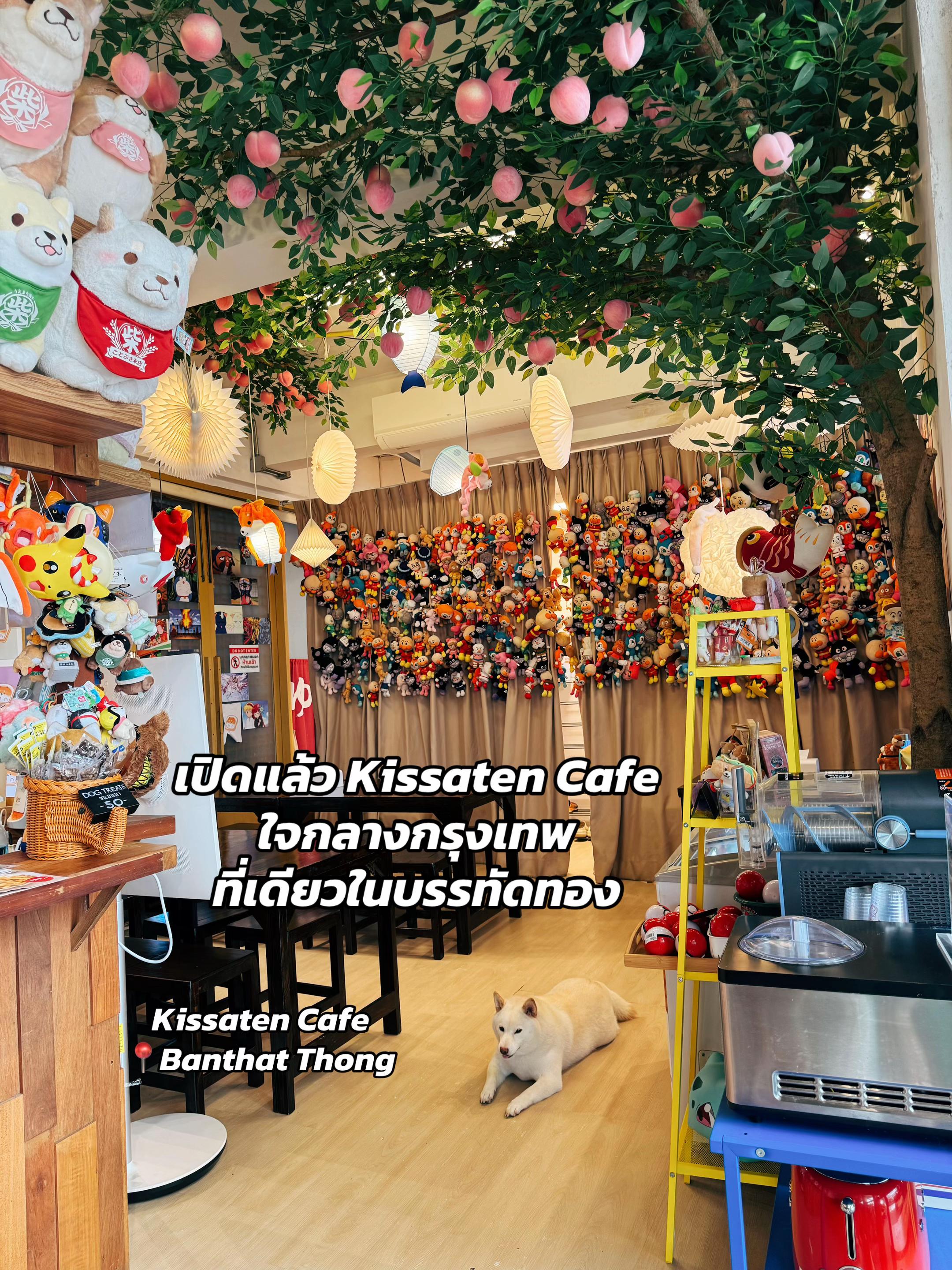 @Shibainu Story