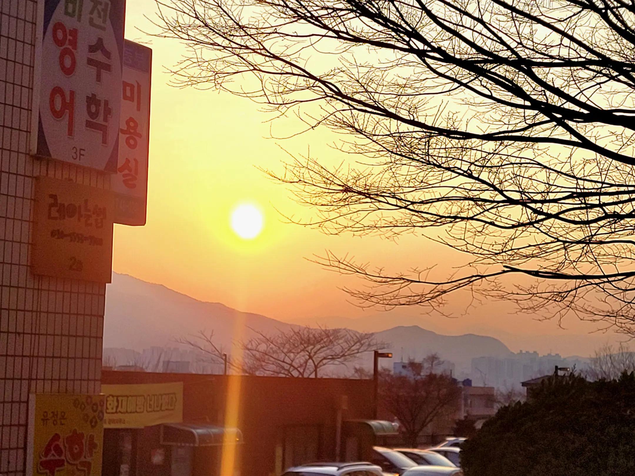 @현대차주✔️