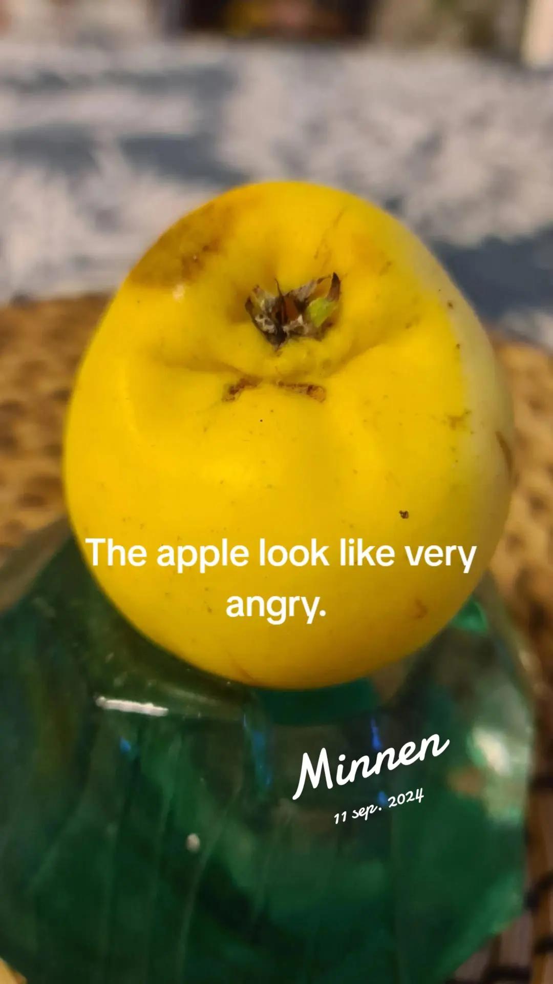 @Sonia Dahlgren