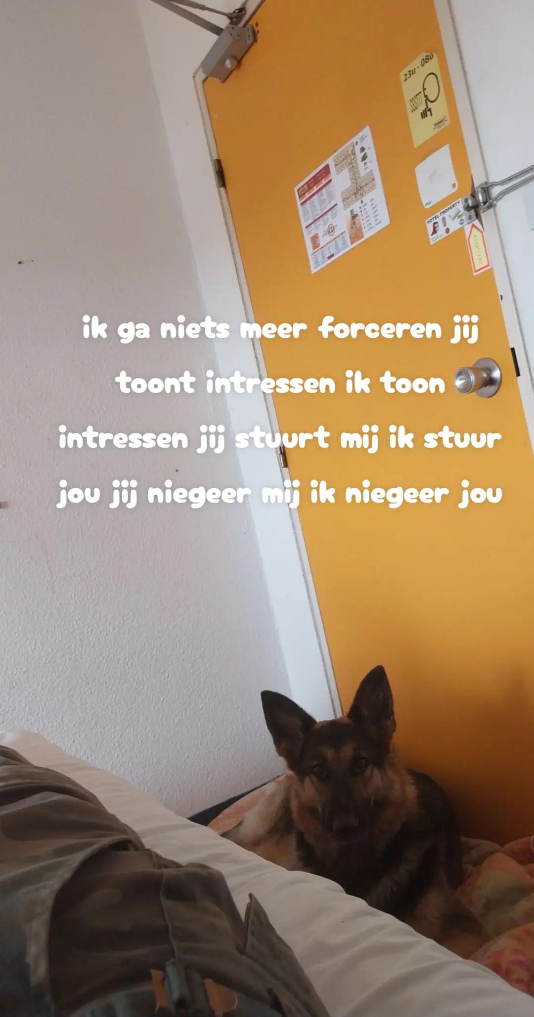 @Bjorn