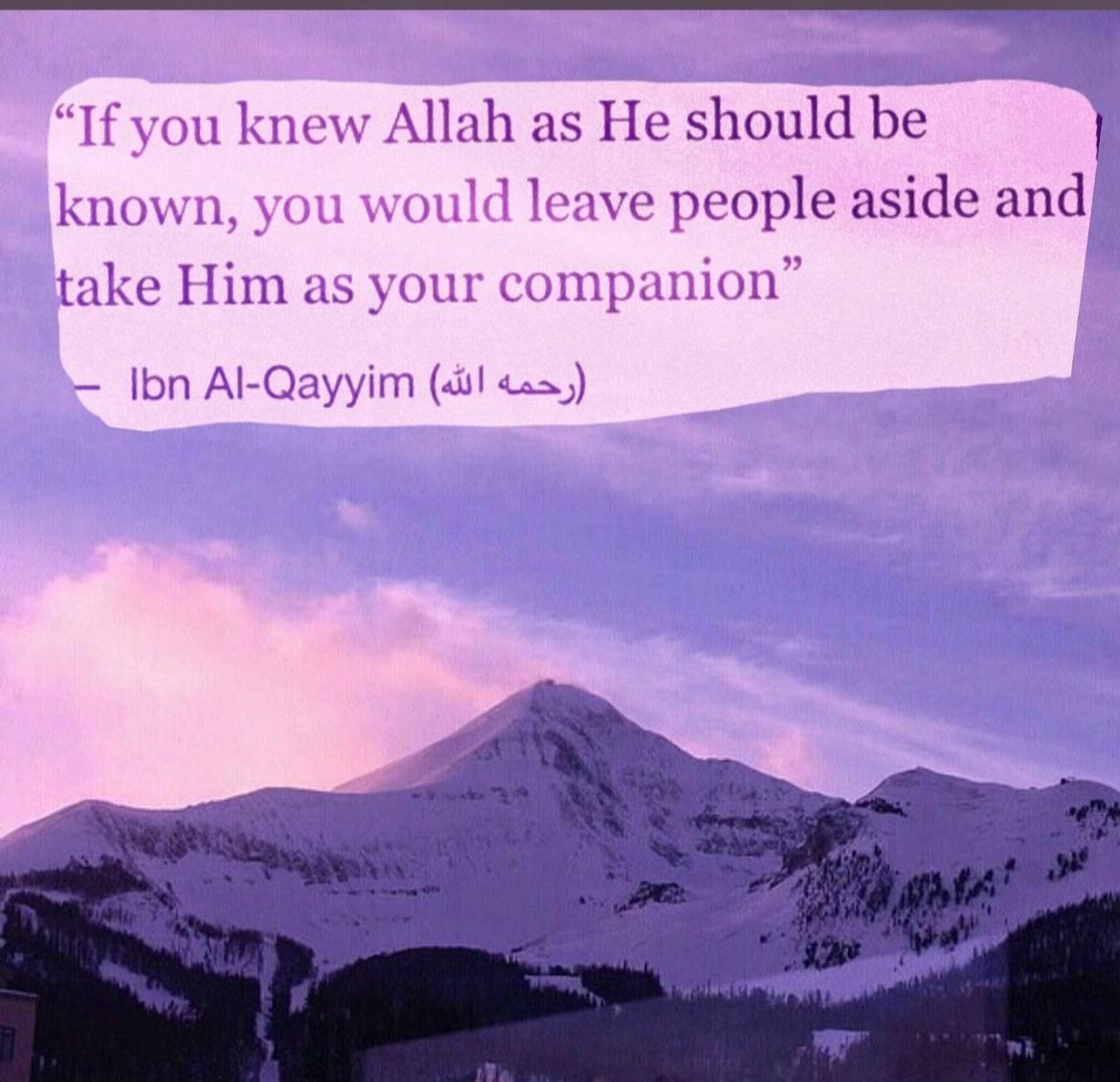 @rahehaq931