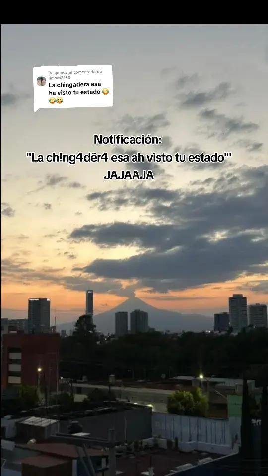 @AraMorales✨