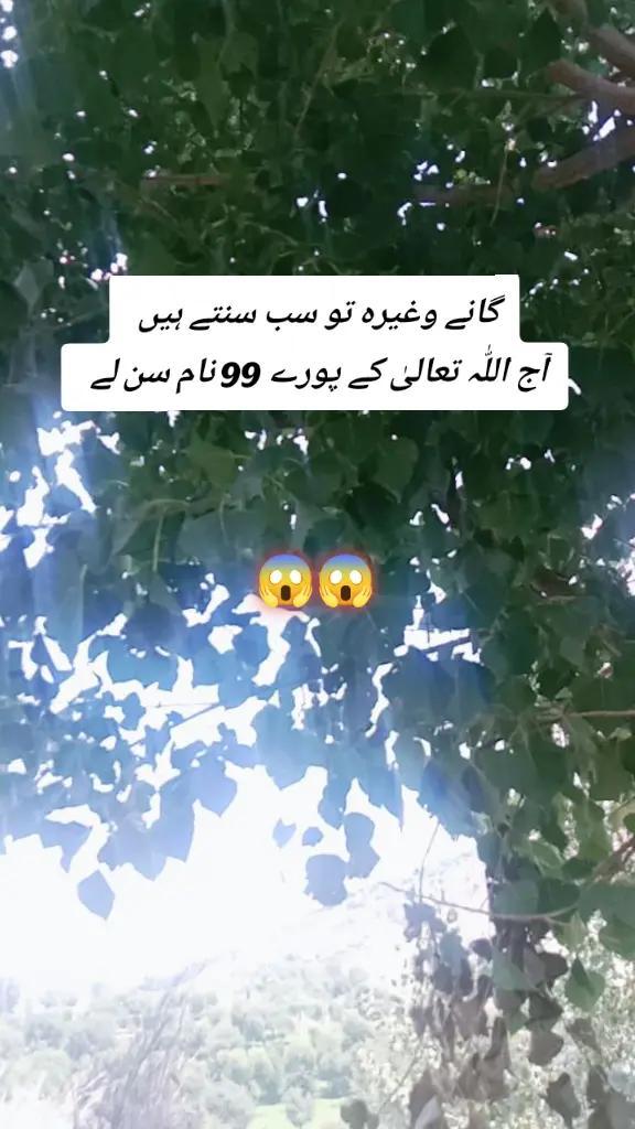 @✨Zahir_khan✨