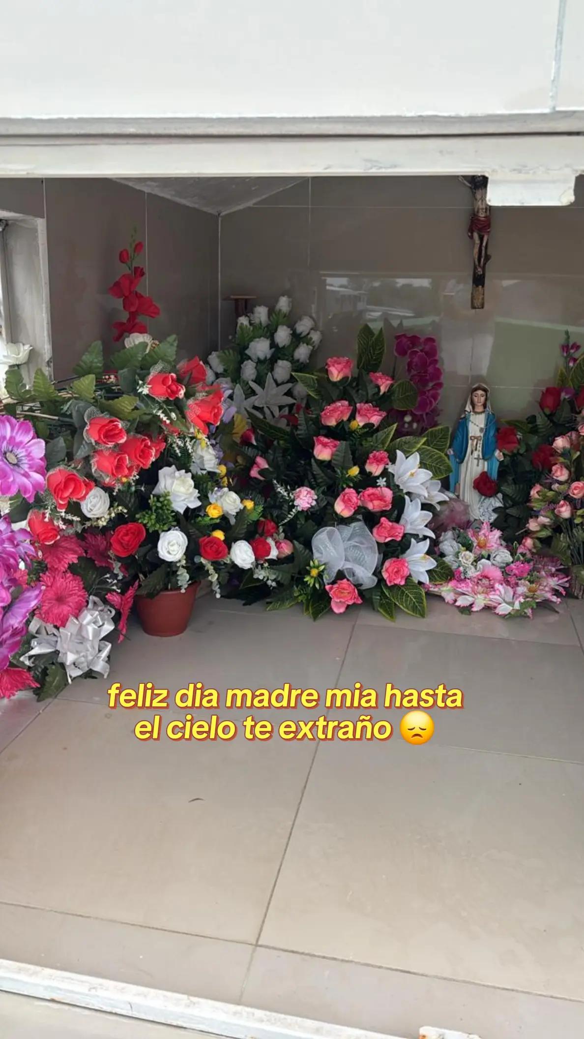 @Claribella 🦋🦋