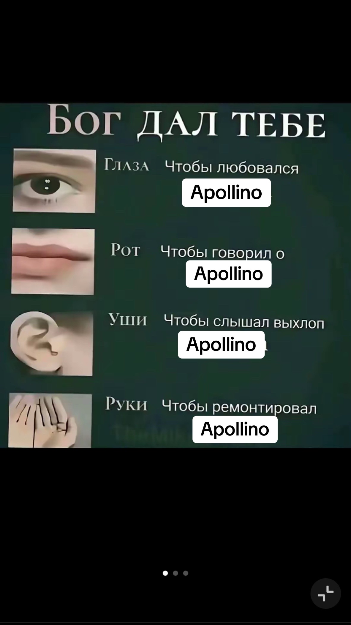 @apollishka_125