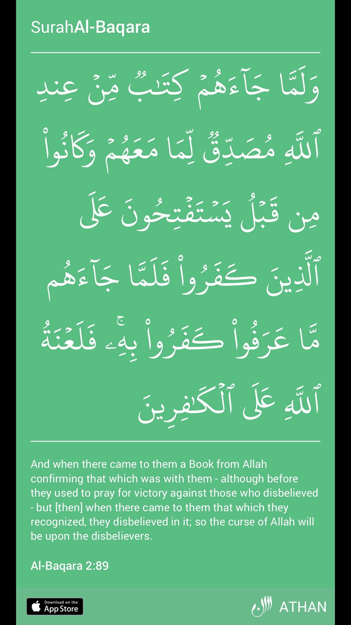 @Mohammedi F Habib