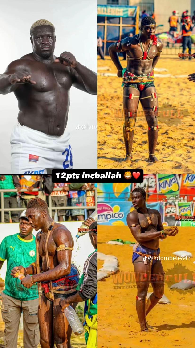 @papa.prcelles