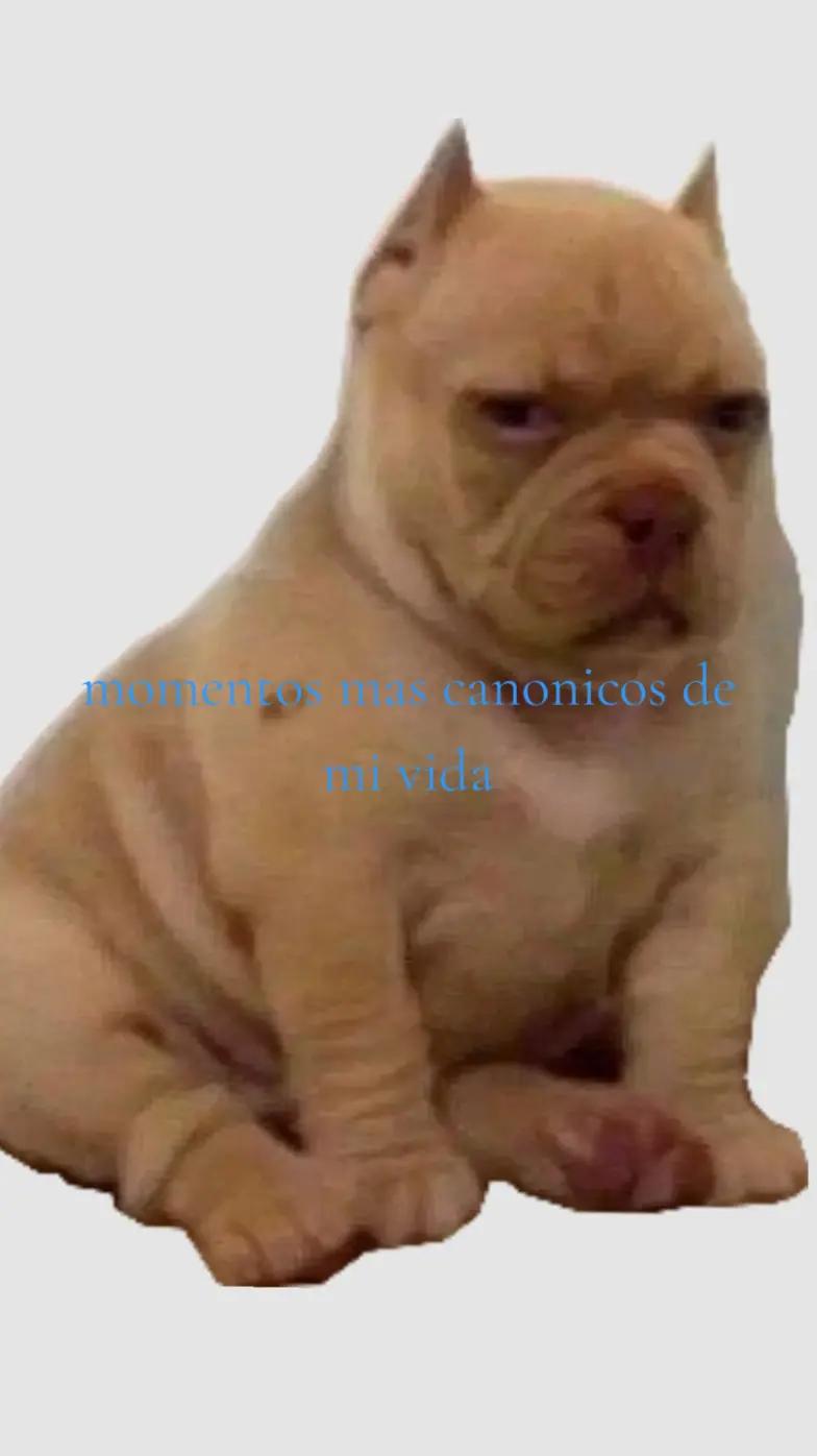 @LunitxVR