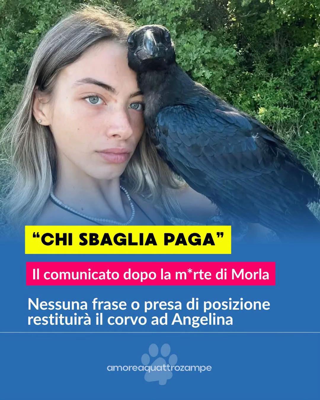 @Amoreaquattrozampe.it