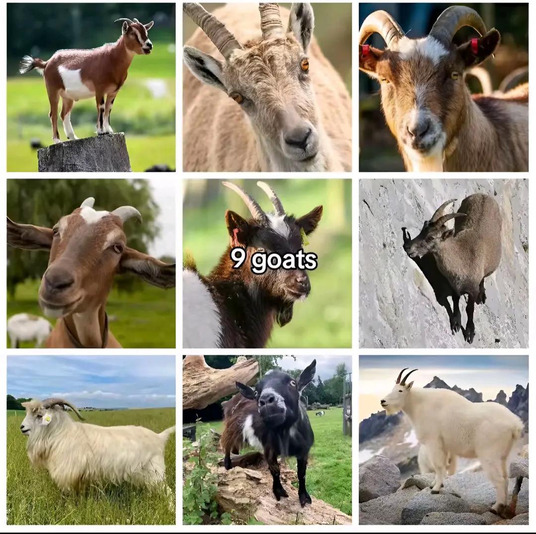 @ODBLover911