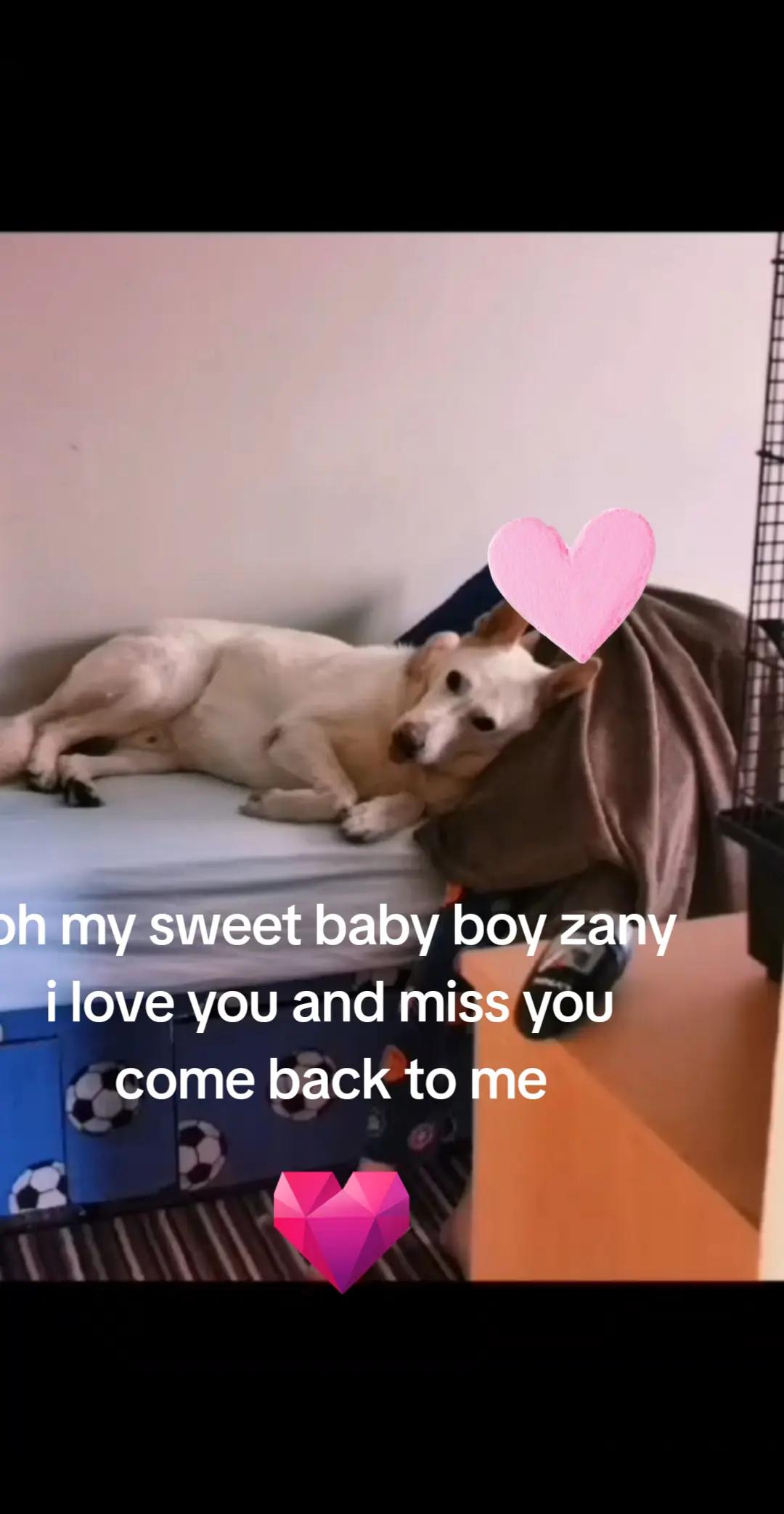 @🥀abby❤️