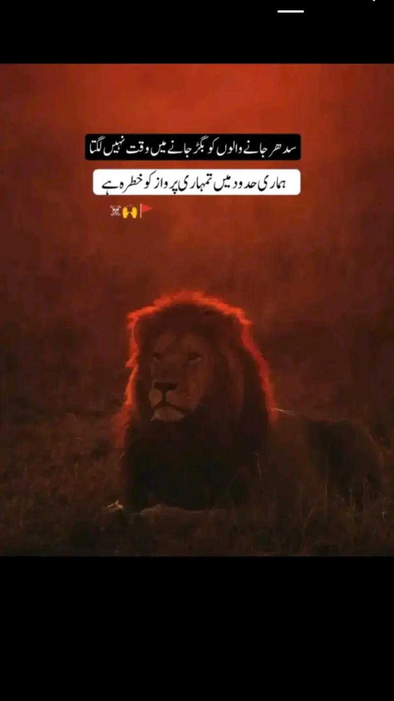 @🦅مظہر بٹ🦁ٹبہ آلہ🦅