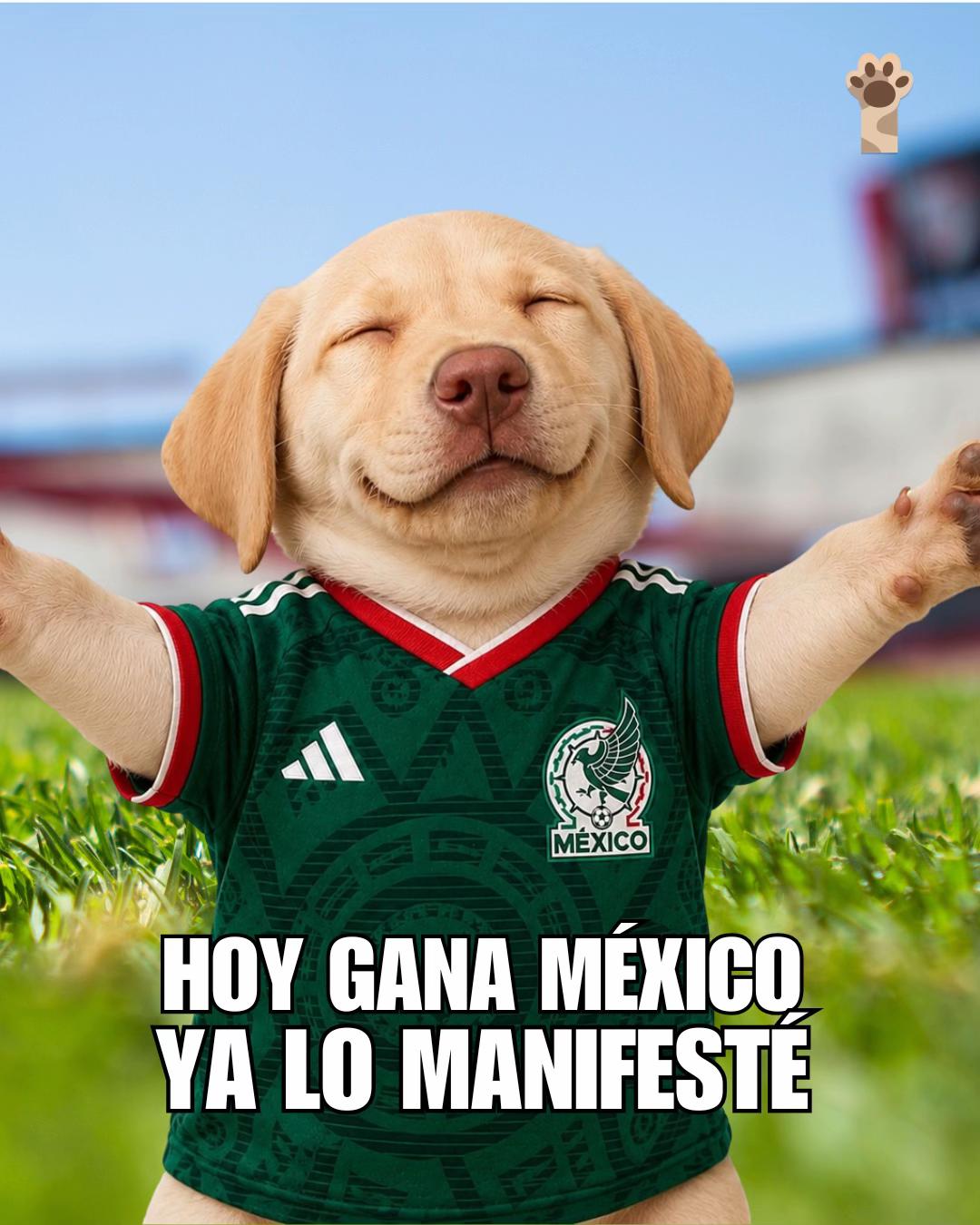 @Petlife