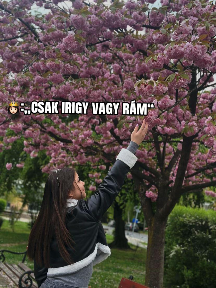 @๐น๐ทViki๐ฆโ๏ธ๐น๐ท