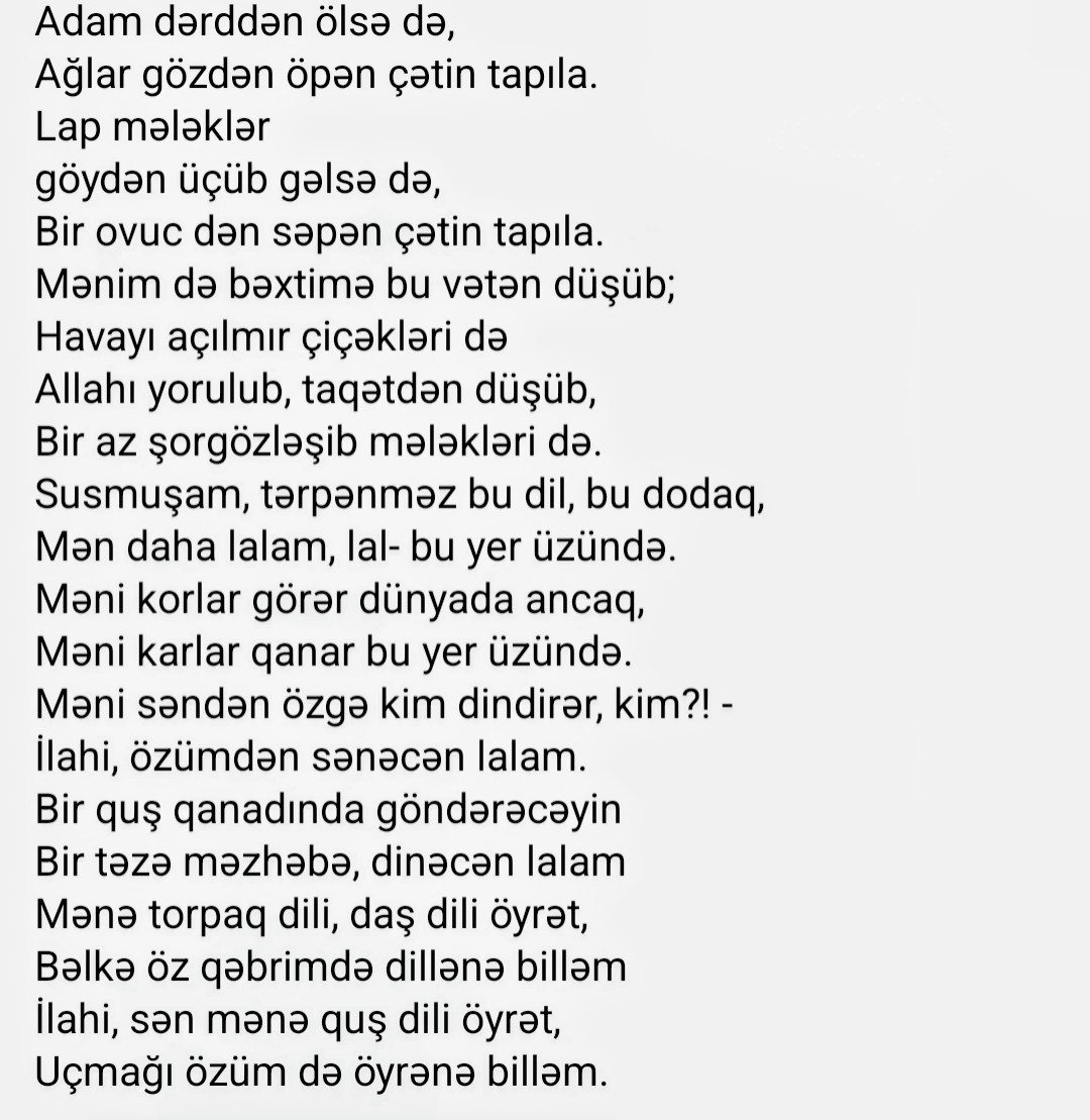 @Türkan Ekberova