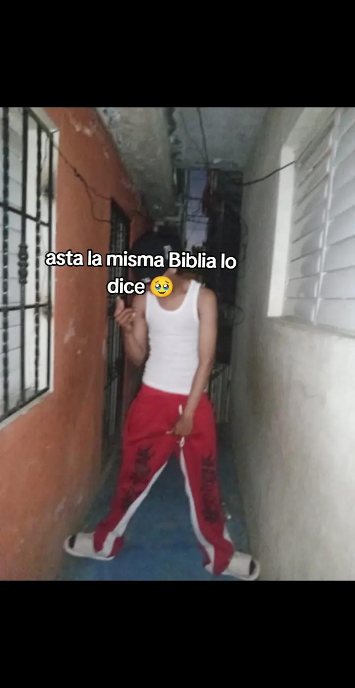 @Andry 🕷️