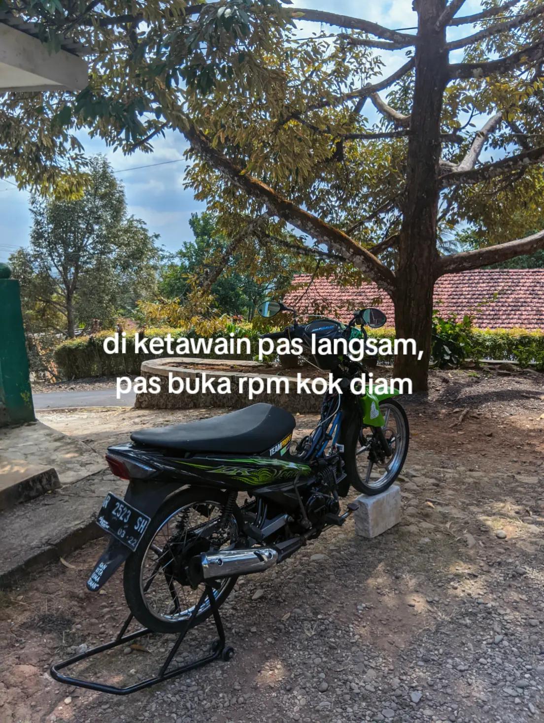 @veglek