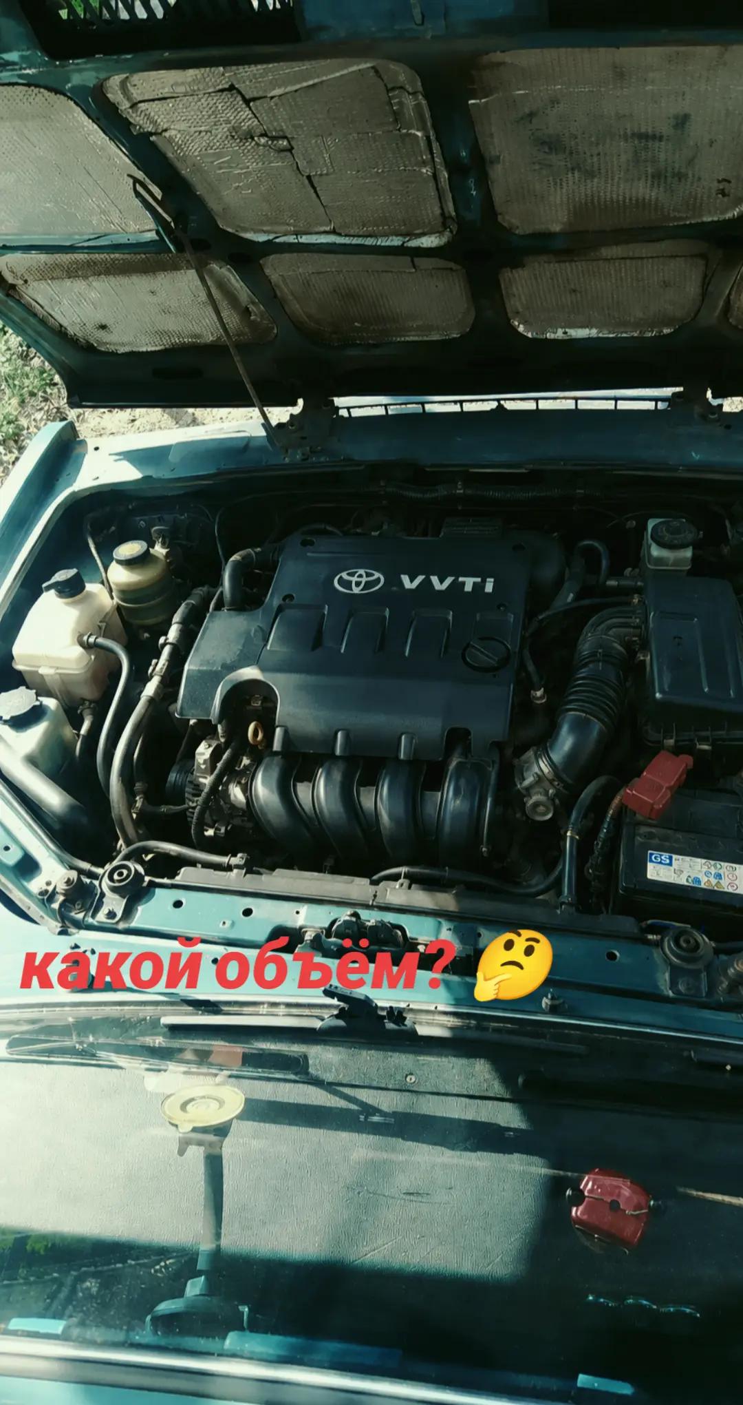 @Ж.Е.Н.Д.О.С.И.К