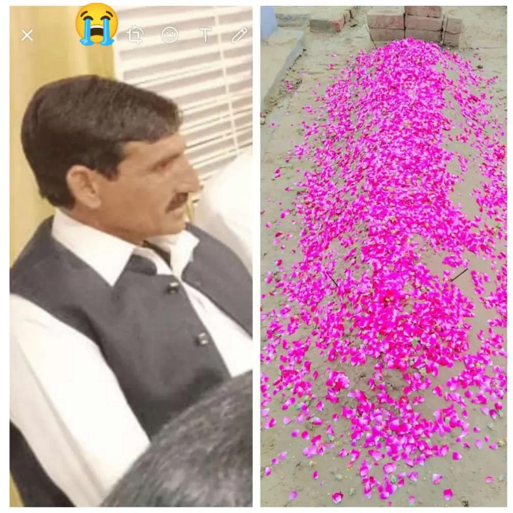 @saqlanansari77
