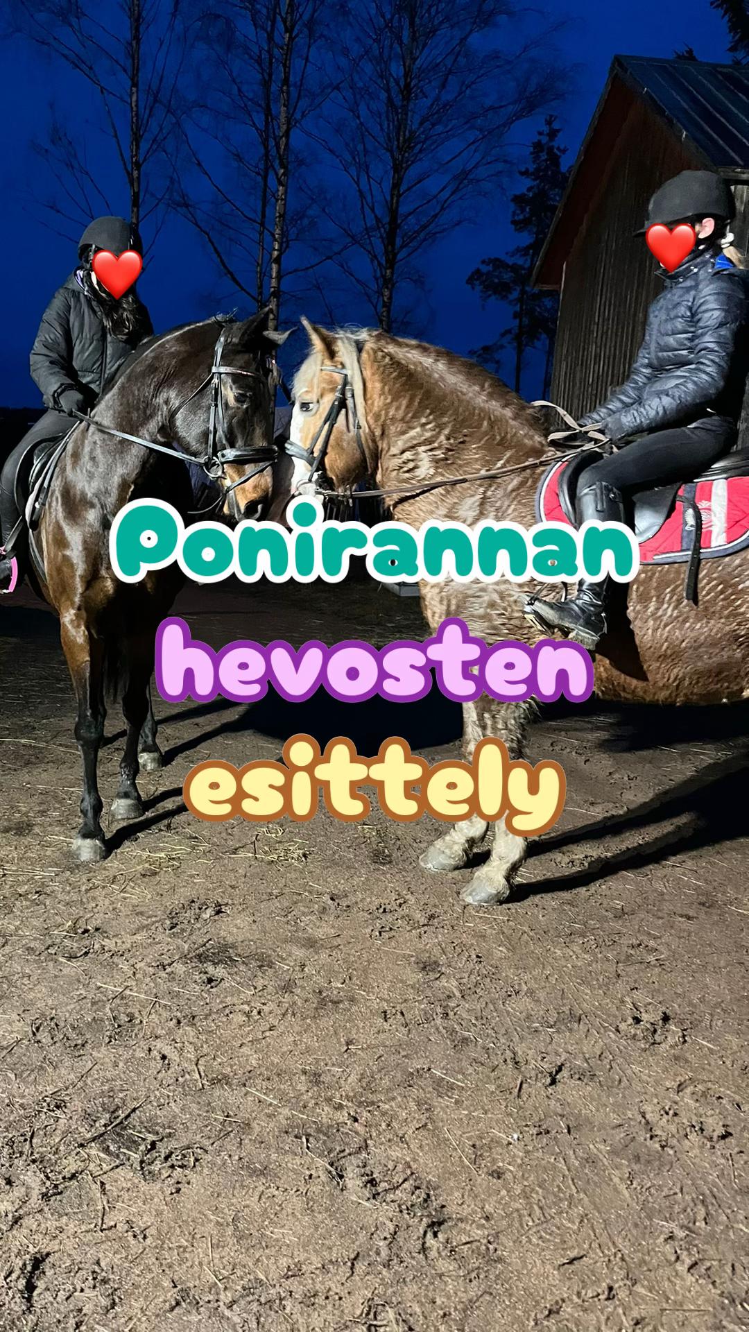 @Ponirannan talli🇫🇮🐎