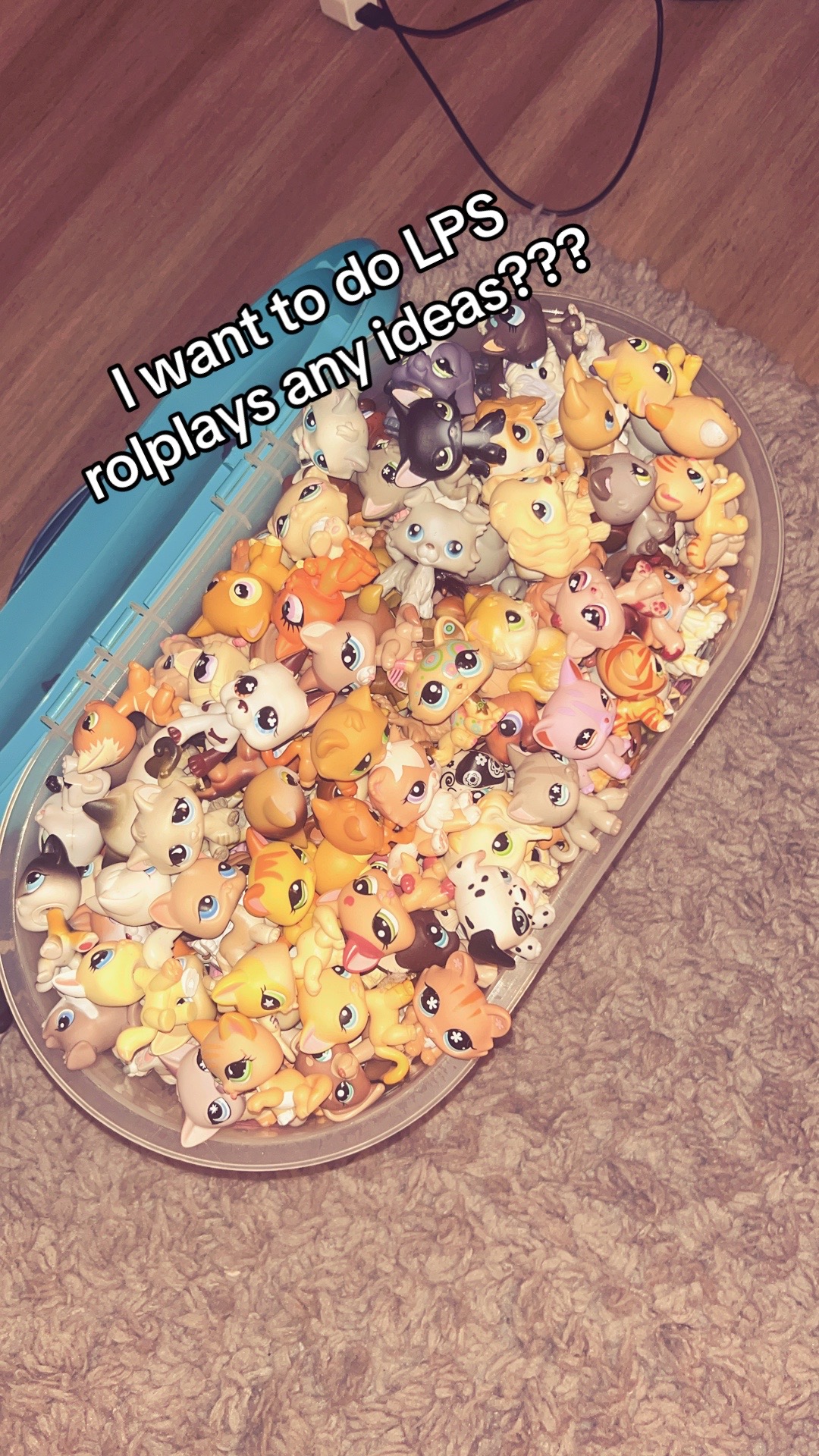 @lpslydsss