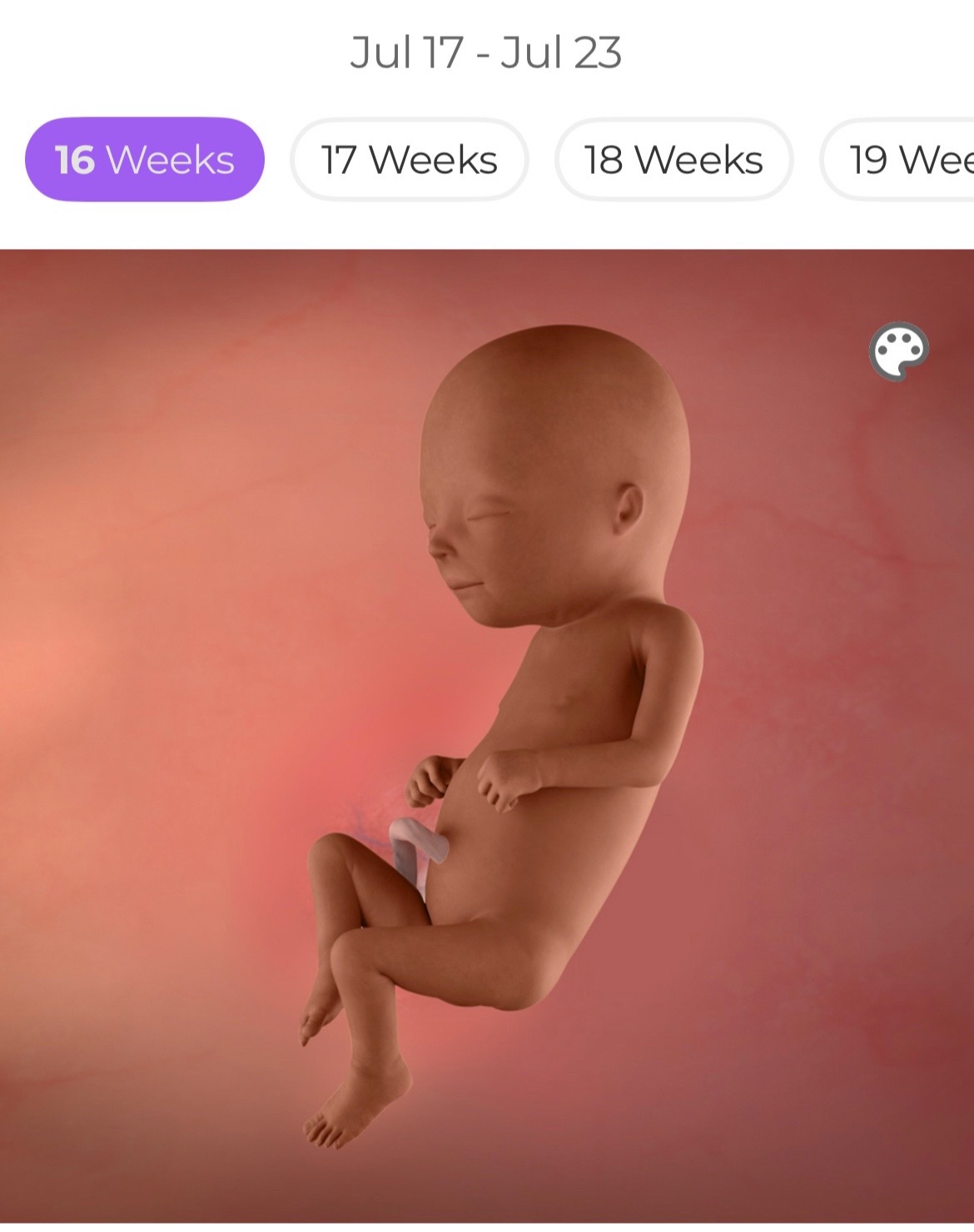 @TNC_OFFICIAL