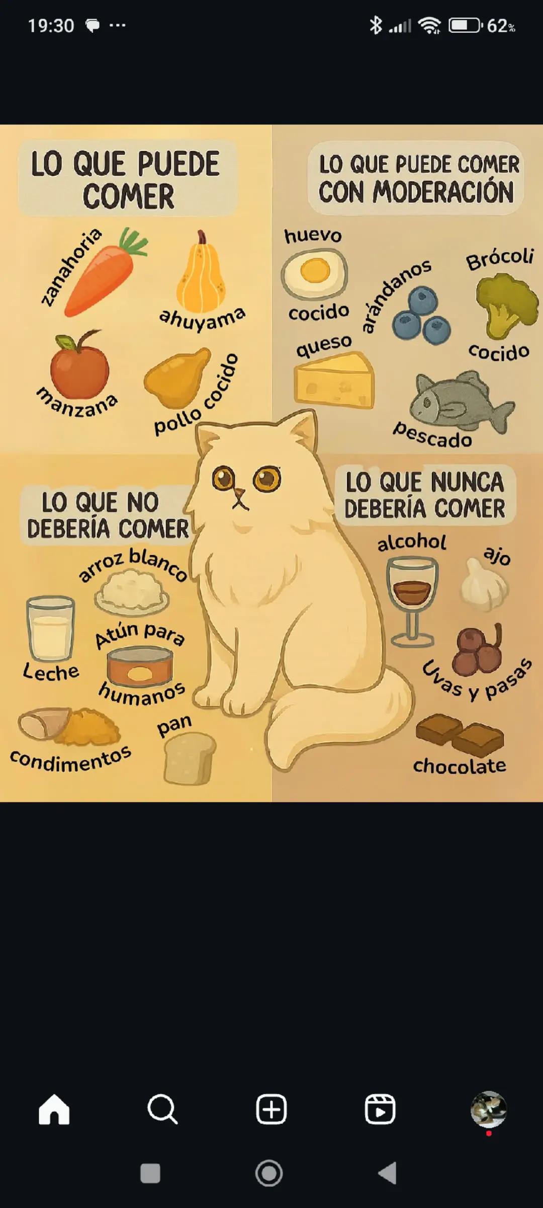 @Anahernansaiz&disca&cat