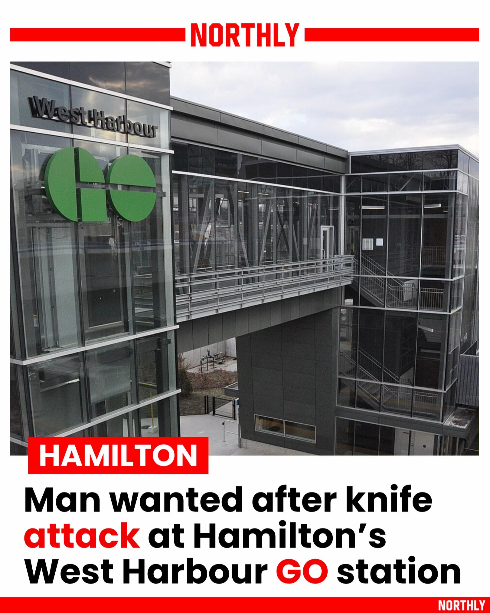 @Northly Hamilton