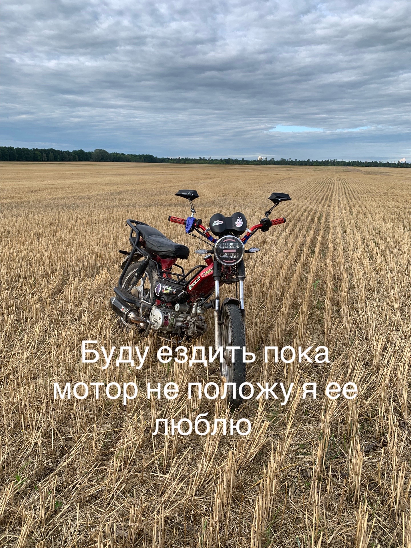 @☠️пилот альфы☠️