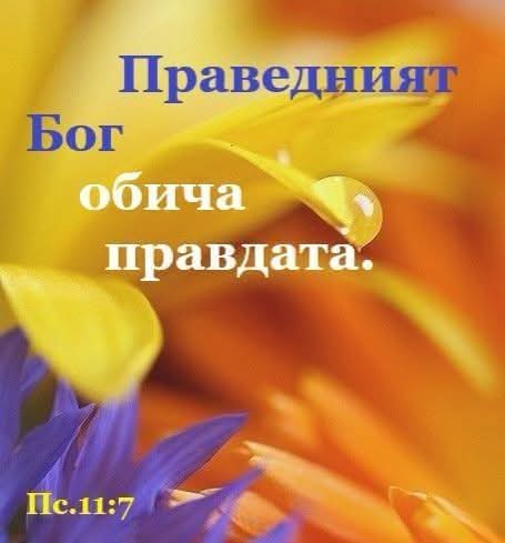 @Жеко