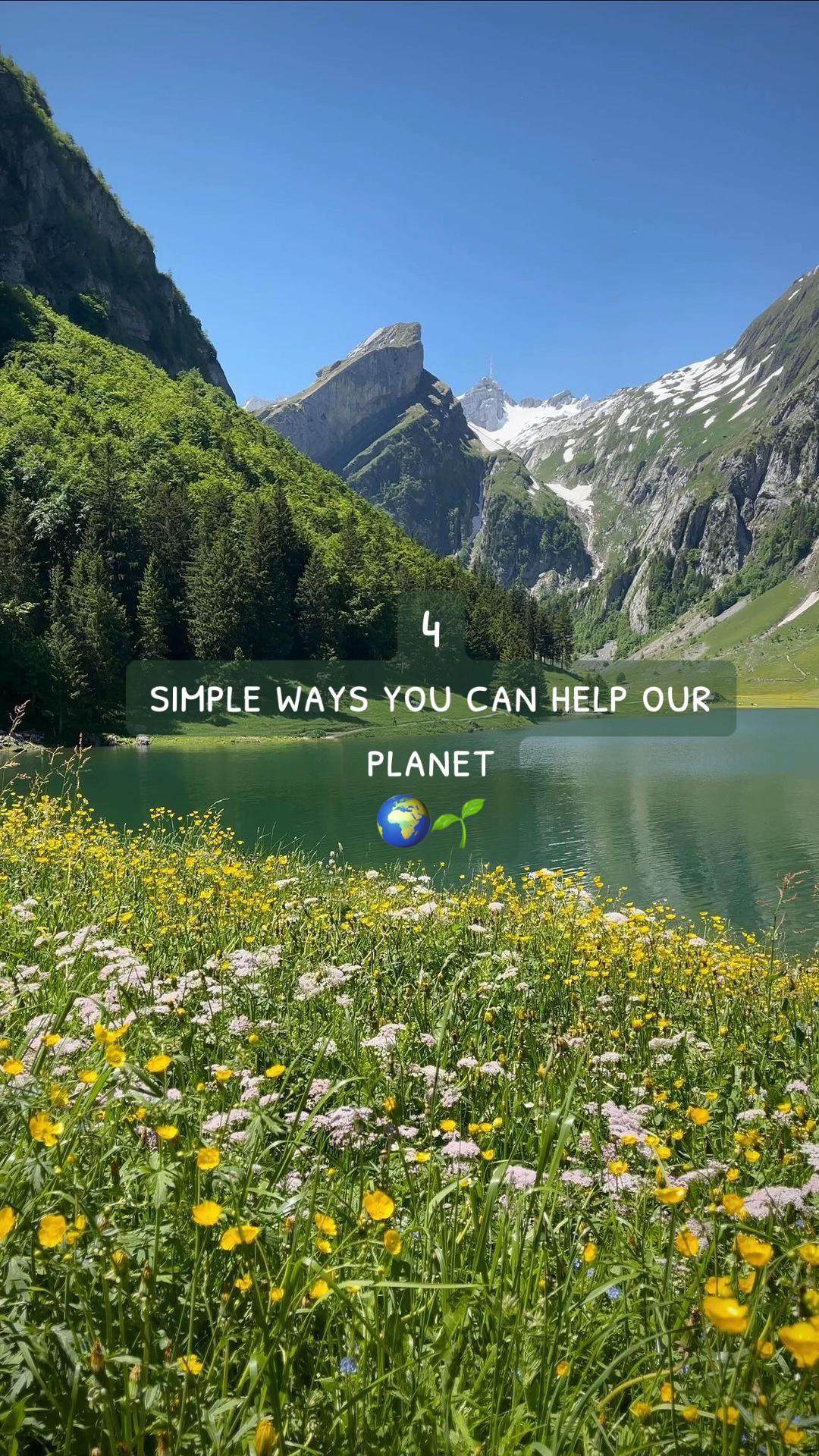 @savingtheglobe