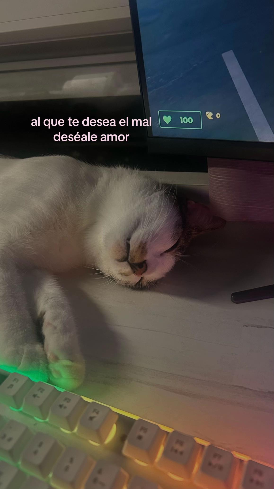 @￶ℒ